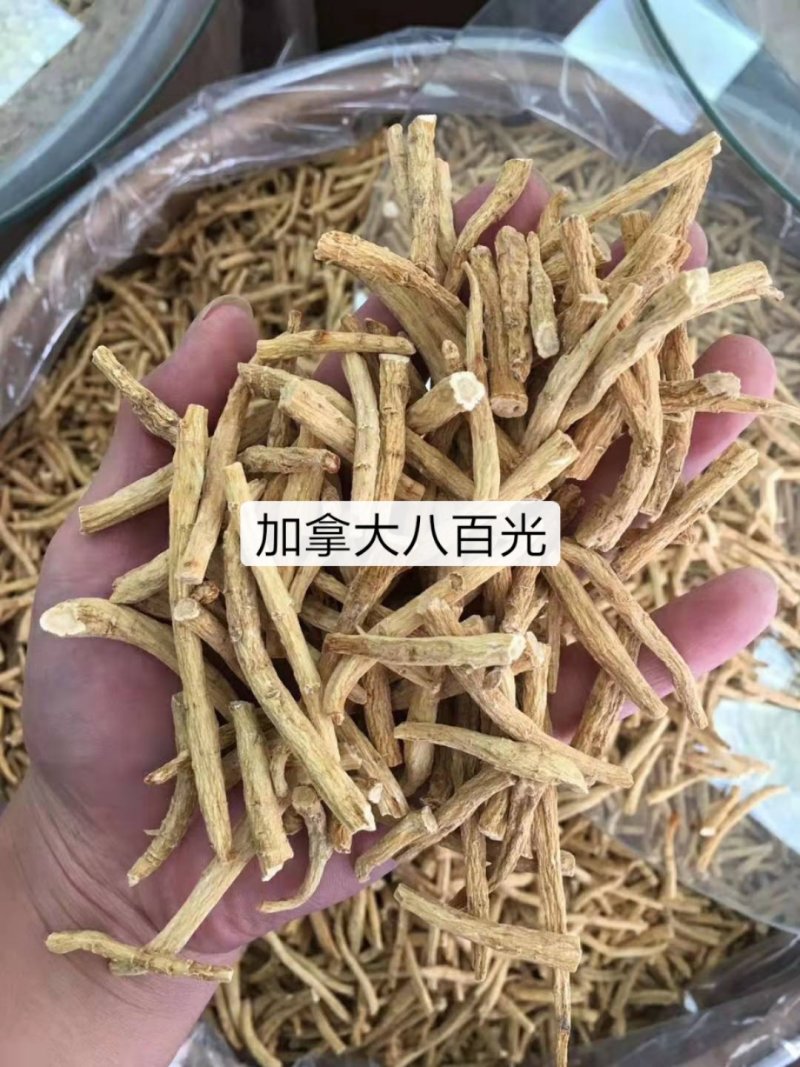 加拿大进口西洋参段腿片打粉散装西洋参片人参美国花旗参片