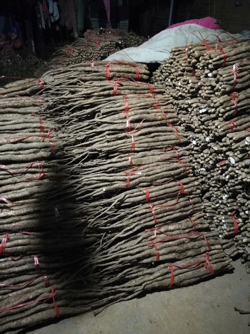 温县正宗垆土铁棍山药