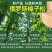 木质木栅栏碳化防腐木栅栏庭院围栏花园栅栏炭化木园艺