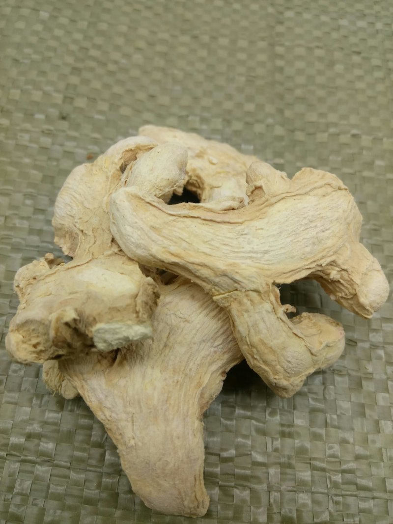 干姜千余品种供应承接订单