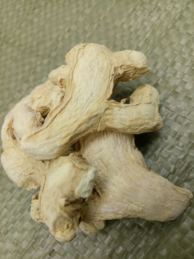 干姜千余品种供应承接订单