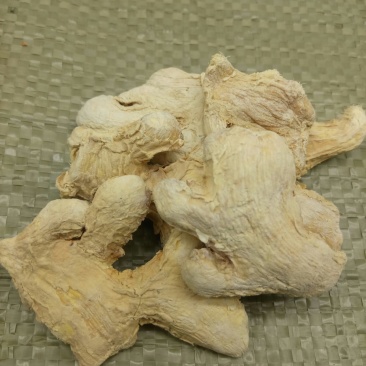 干姜千余品种供应承接订单