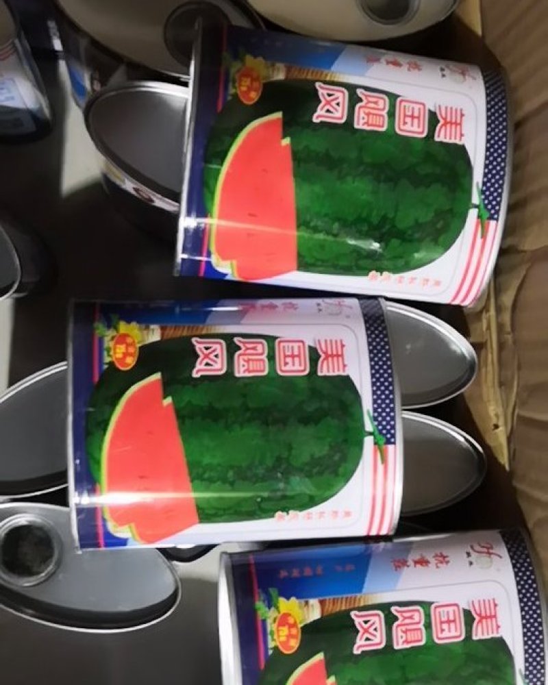 美国飓风西瓜种子抗病抗重茬丰产耐运输