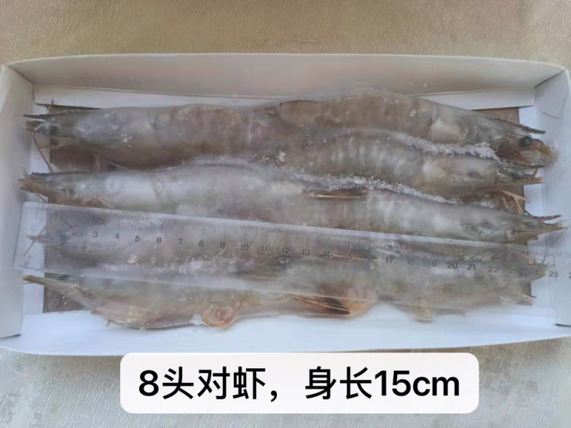 6头8头对虾一件15盒