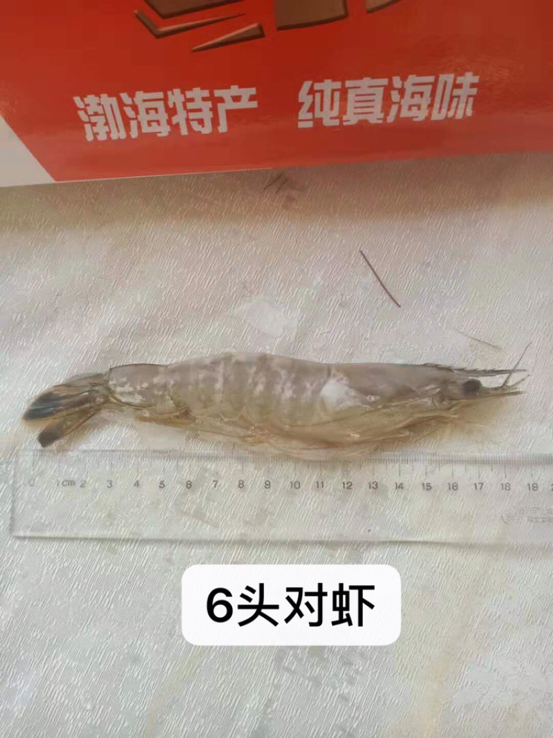 6头8头对虾一件15盒