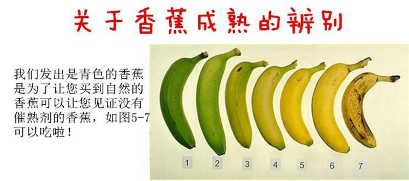 新鲜香甜香蕉一件代发各大电商平台产地直供