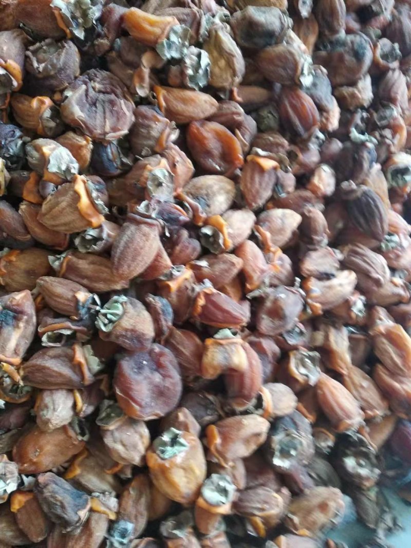 柿饼吊饼
