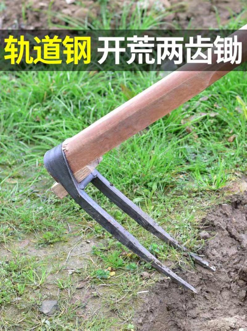 唐唐家用全钢长把二齿锄头两用挖土开荒种菜开垦种地