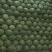 山东菏泽6精品甘蓝量大质优电联