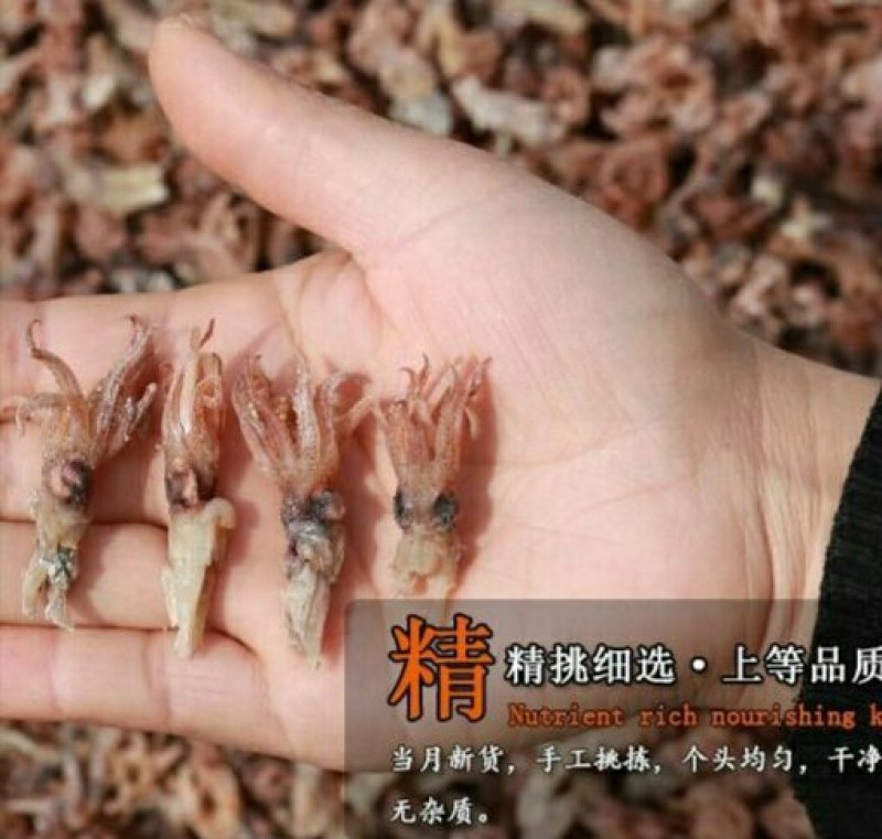 海兔头干健康营养味道不美味便宜实惠保质保量包邮