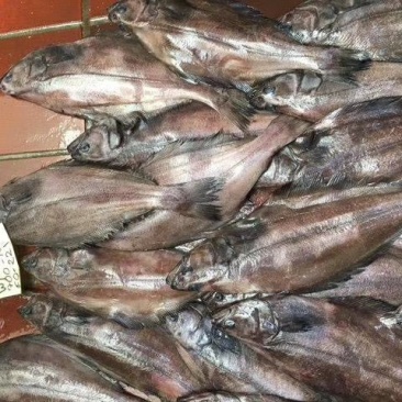 鲽鱼（比目鱼）
