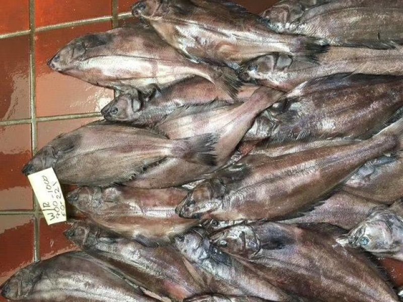 鲽鱼（比目鱼）