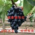 无核玫瑰香葡萄苗大粒玫瑰香葡萄树苗南北方种植葡萄苗品种苗