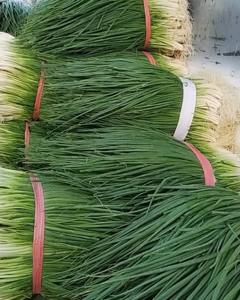 小葱，质量好价格实惠