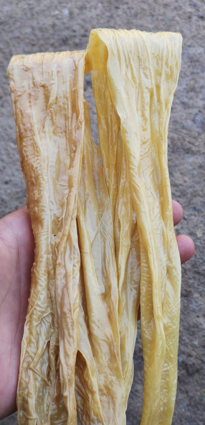 腐竹