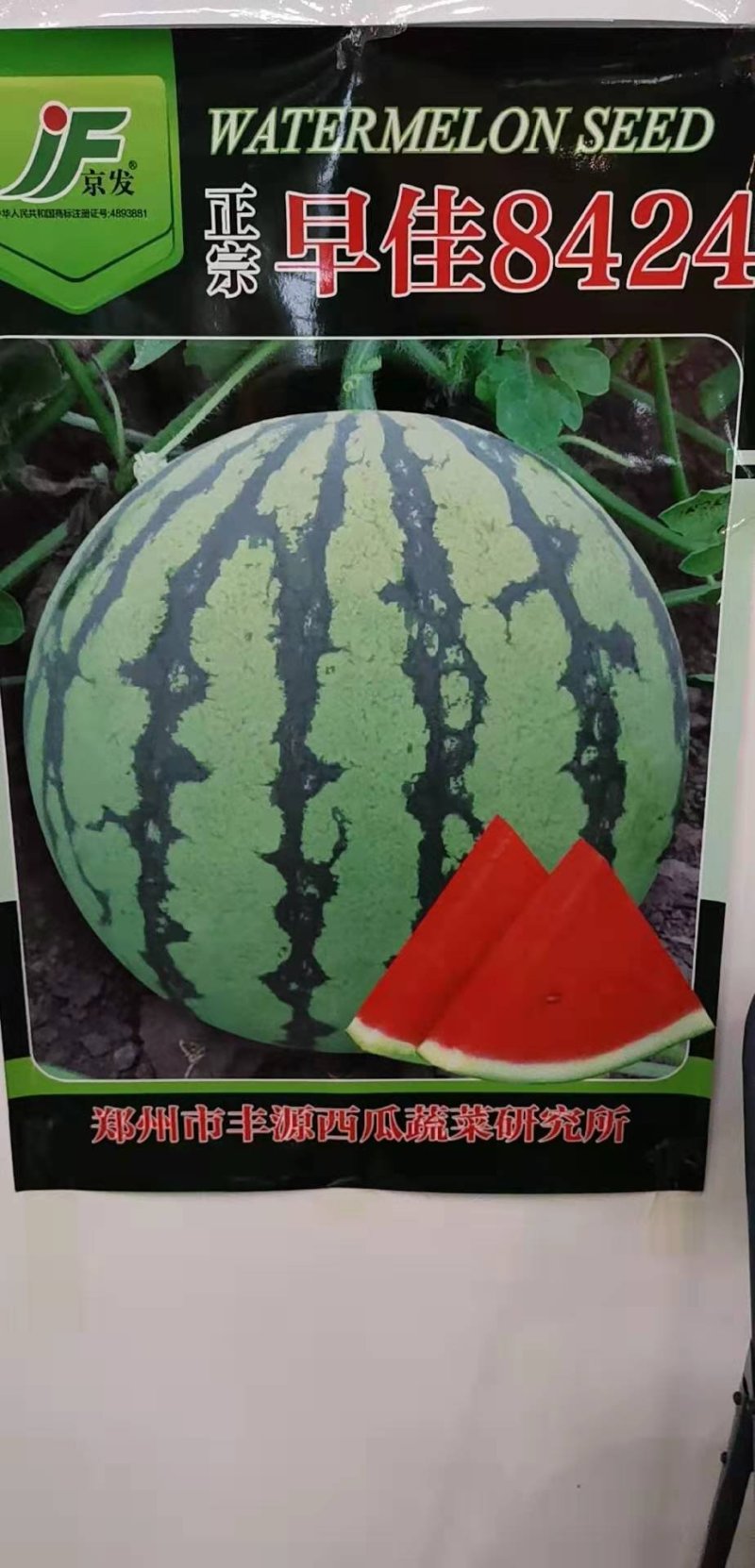 白美都外观靓丽美都京欣