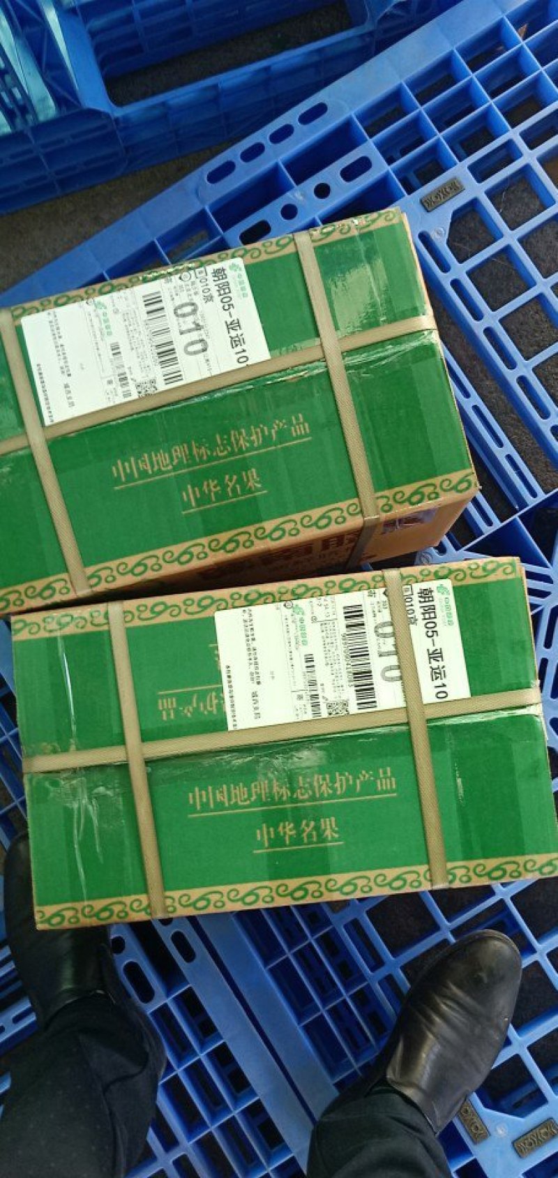 赣南脐橙稀土之乡富硒脐橙自产直供接受预订，提供仓储