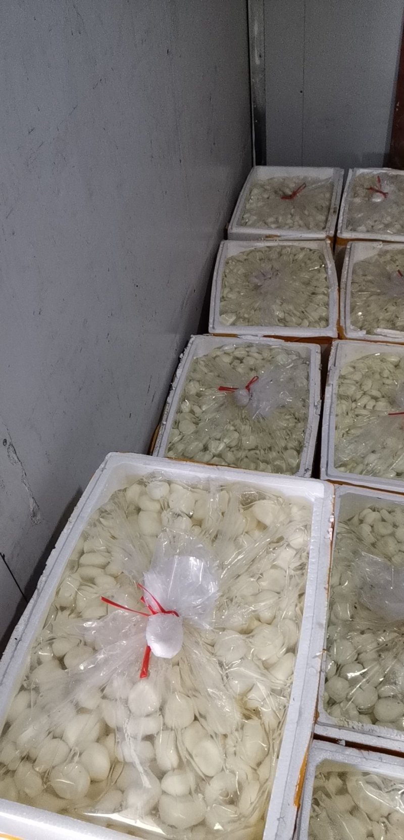 削皮马蹄肉，货源充足、质量**