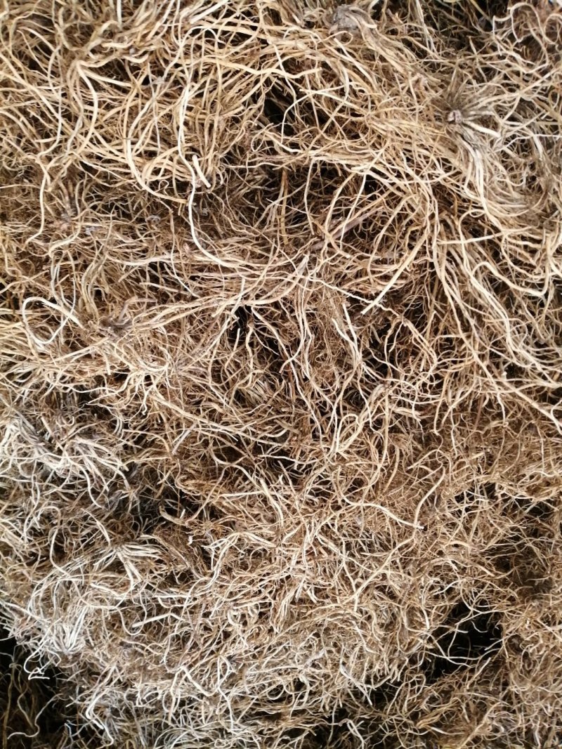 龙胆草龙胆草干货包含量基地直发品质保证请放心购