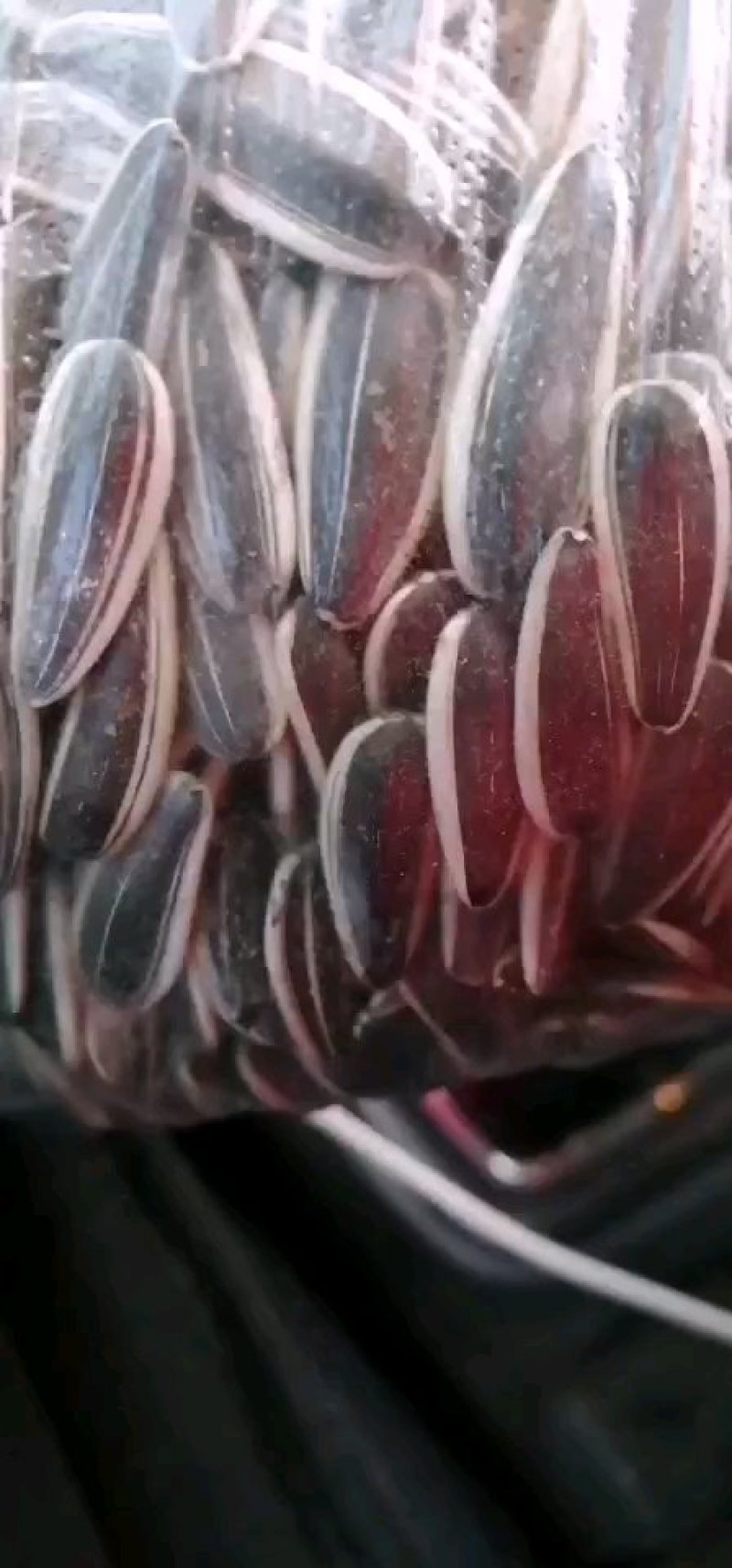 601