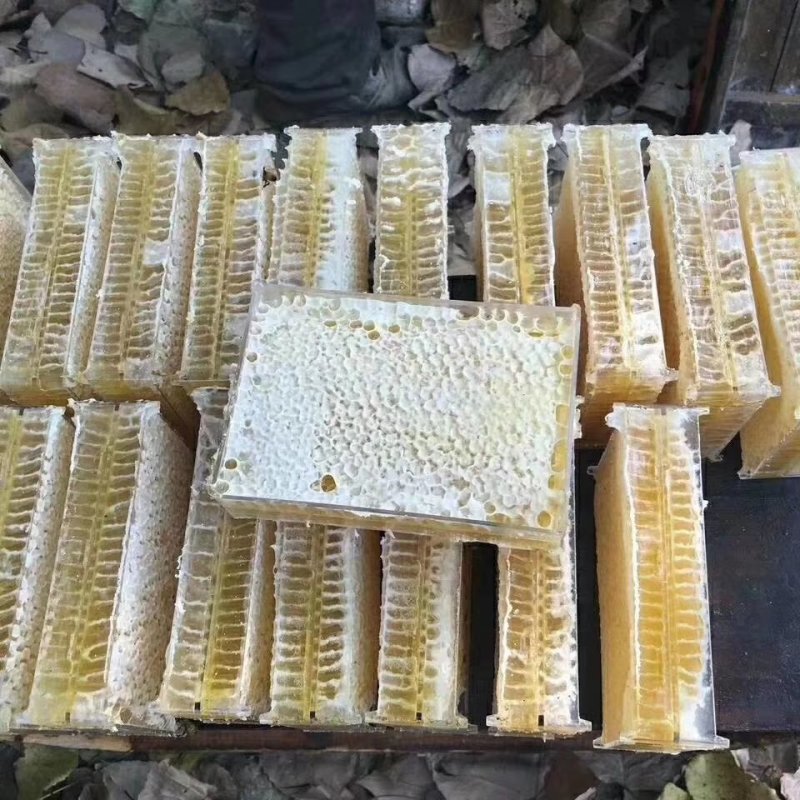 黑龙江伊春农家蜂巢蜜成熟原蜜蜂蜜