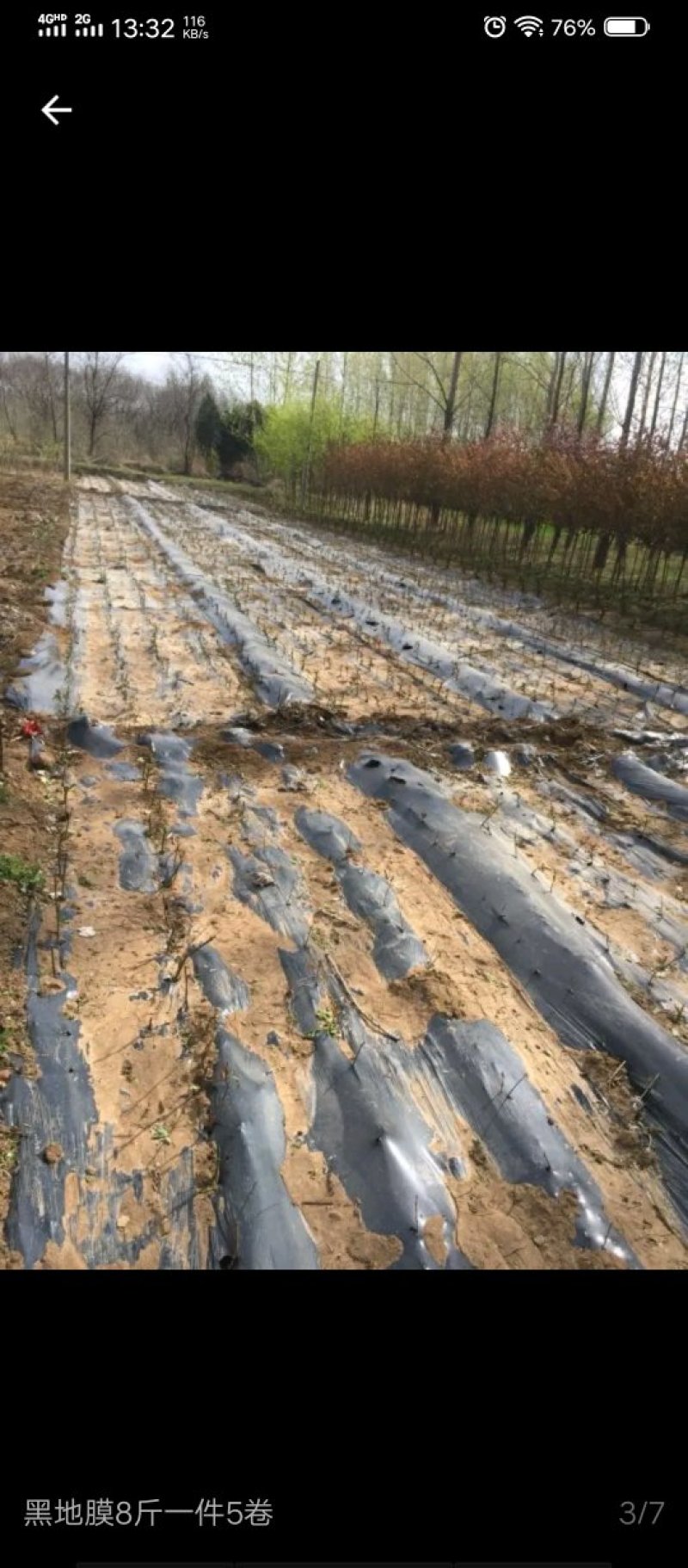 农用加厚黑地膜除草膜果树果园大棚草莓专用黑地膜厂家直销
