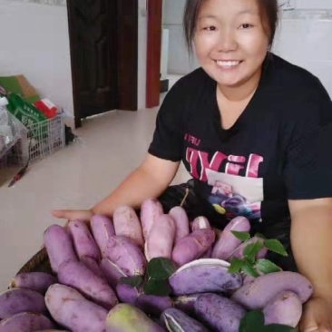 八月瓜苗（少籽，紫果，48小时内发货）包成活提供售后服务