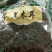 🍓🥖黑木耳木耳农家粗粮特产拿样一斤包邮