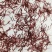 精品特级藏红花进口伊朗新货批发零售