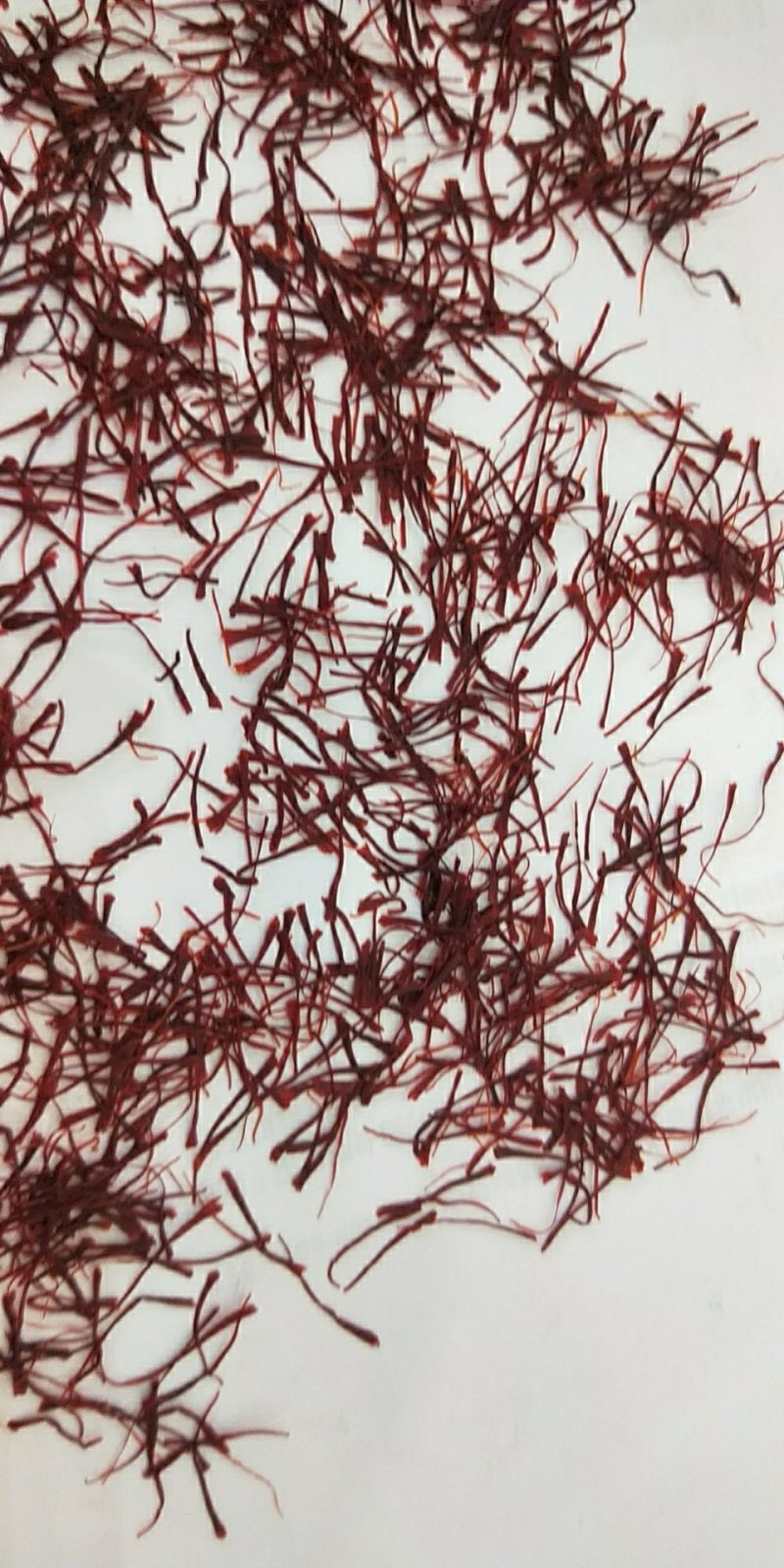 精品特级藏红花进口伊朗新货批发零售
