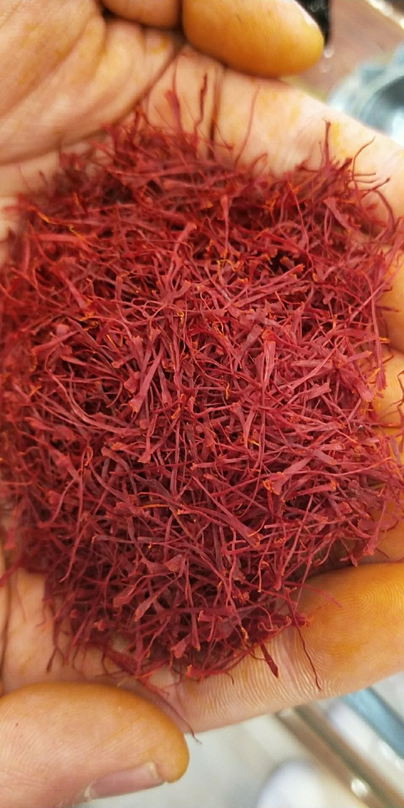 精品特级藏红花进口伊朗新货批发零售