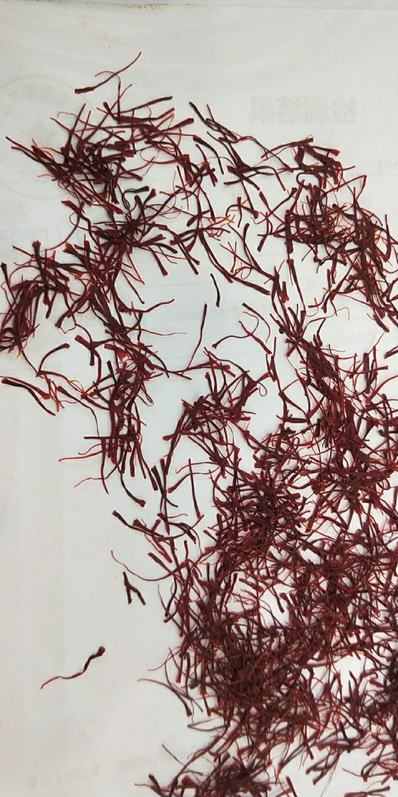 精品特级藏红花进口伊朗新货批发零售