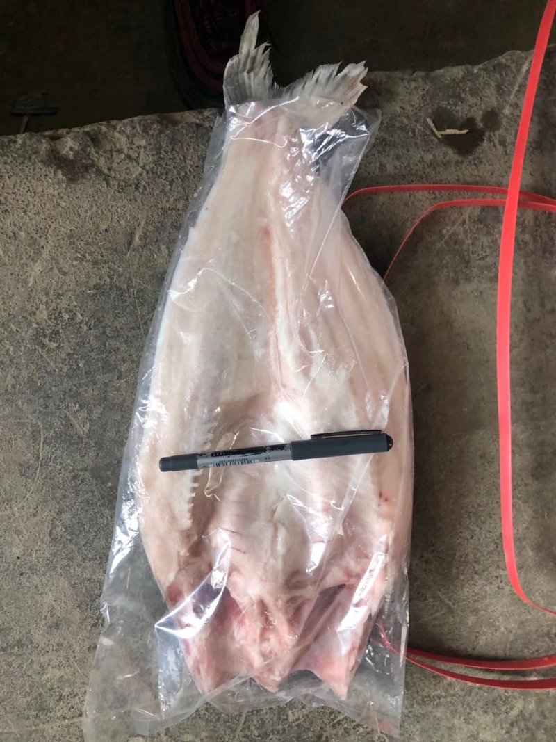 开背巴沙鱼，肉质鲜嫩，8一16条
