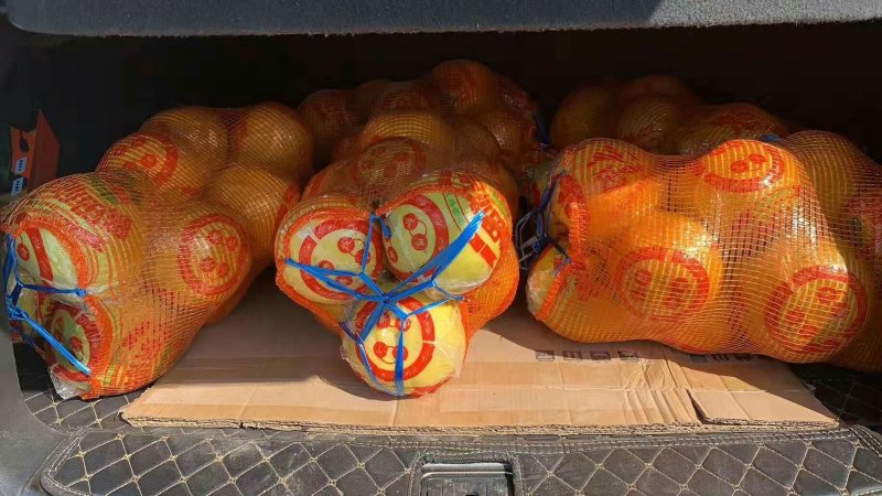 老树沙田柚，香柚大量上市了，有需要的老板请联系可视频看货