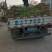 【包技术指导】山东柿子苗，规格品种齐全，现挖现发全国发货