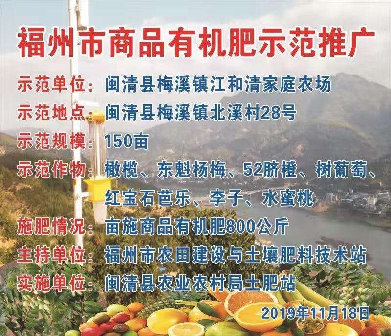 橄榄