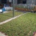 橄榄