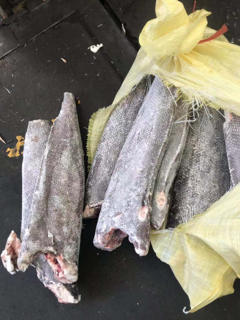 油甘鱼