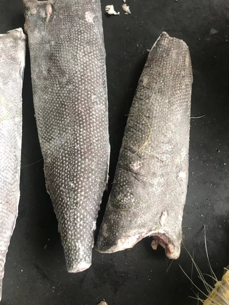 油甘鱼