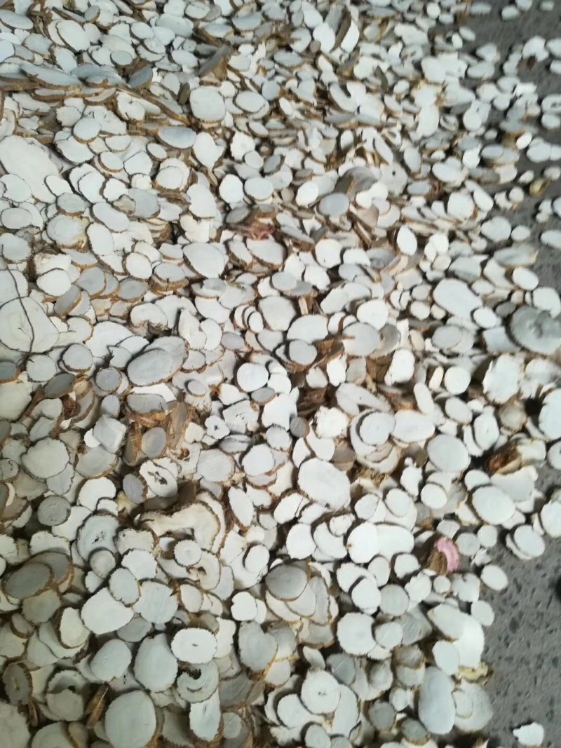 白芷无硫白芷中统大统批发零售供应上千种中药材