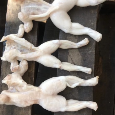 牛蛙