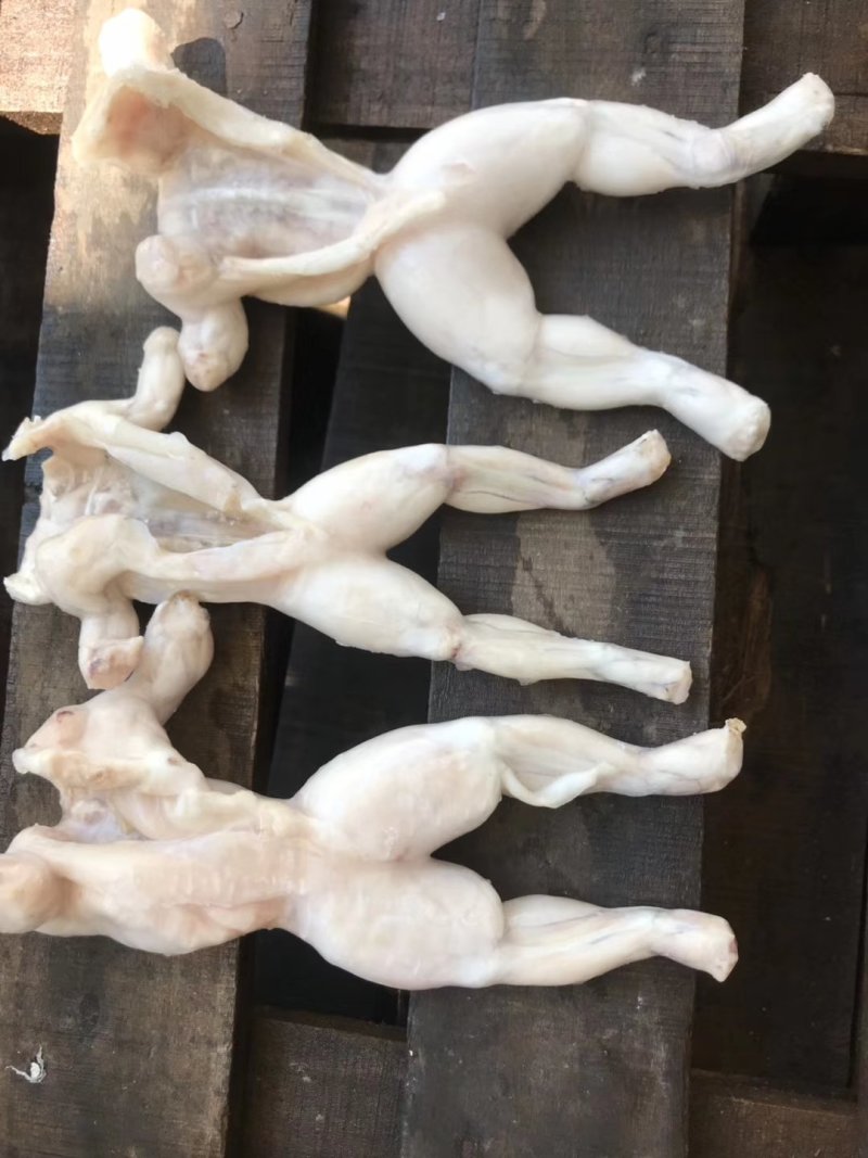 牛蛙