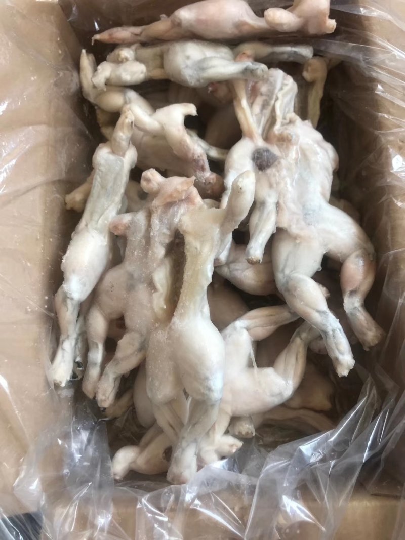 牛蛙