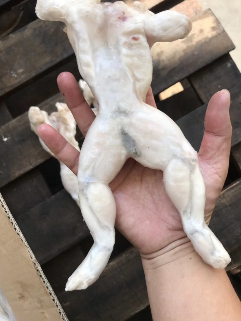 牛蛙