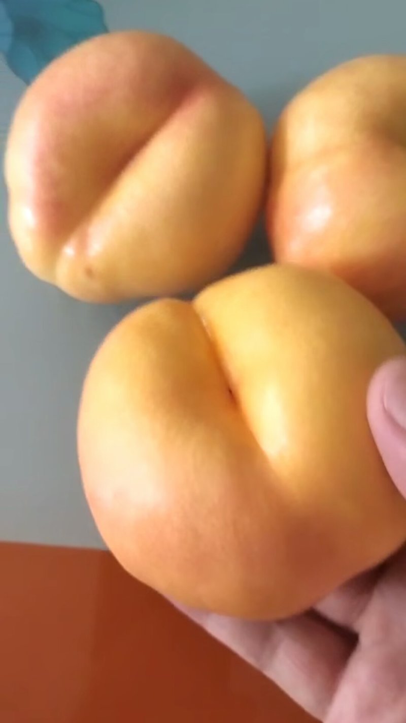 品种桃树苗，规格齐全，包成活，保湿发货，质优价廉
