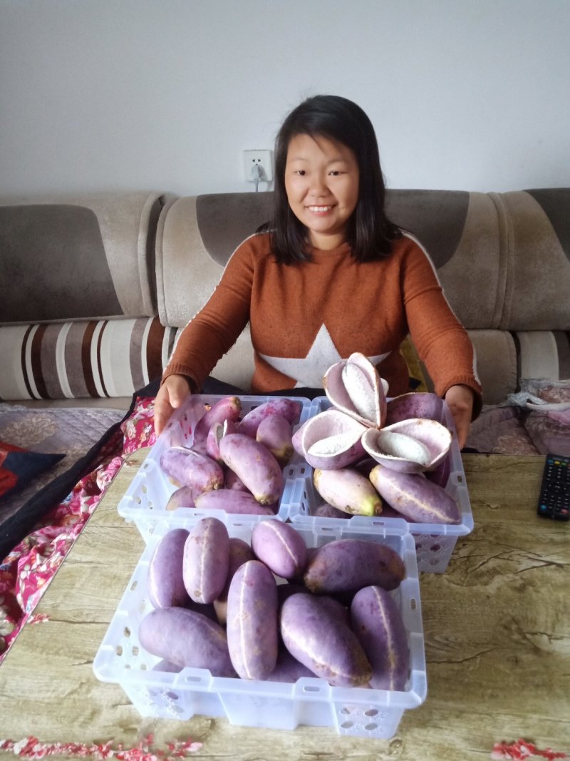 八月瓜苗（少籽，紫果，48小时内发货），包成活包售后服务