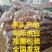山东毛芋头8520豆包毛芋头供应电商毛芋头支持电商全国发