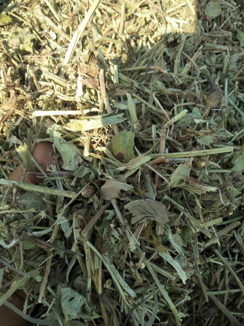 长年出售花生秧牛羊草、花生秧草粉、花生秧颗粒、压块麦秸。