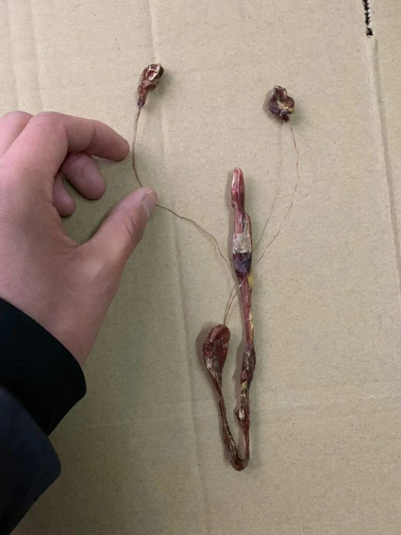 黄狗鞭海狗鞭正品保证质量泡酒料