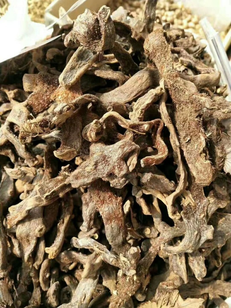 骨碎补毛姜烫骨碎补供应上千种中药材一站购
